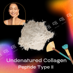 Undenatured Collagen Peptide Type II