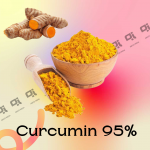 Curcumin 95%