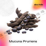 Mucuna Pruriens